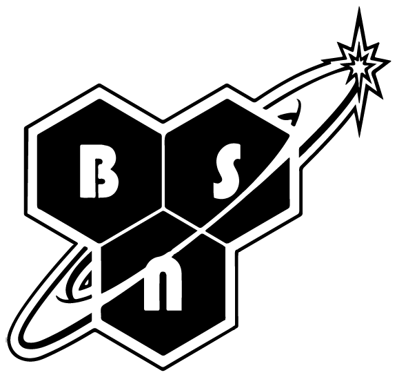 BSN